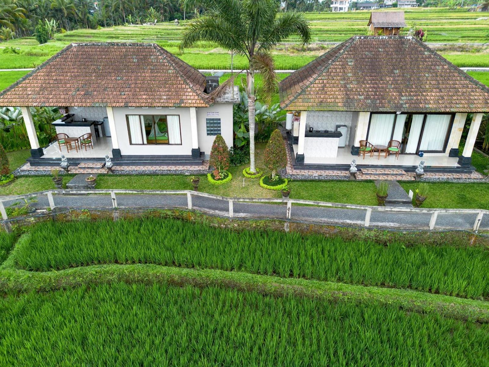 Cahaya Ubud Villa Extérieur photo
