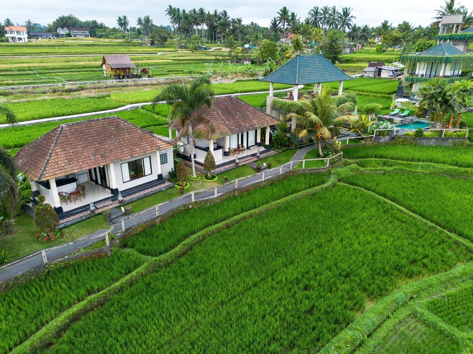 Cahaya Ubud Villa Extérieur photo