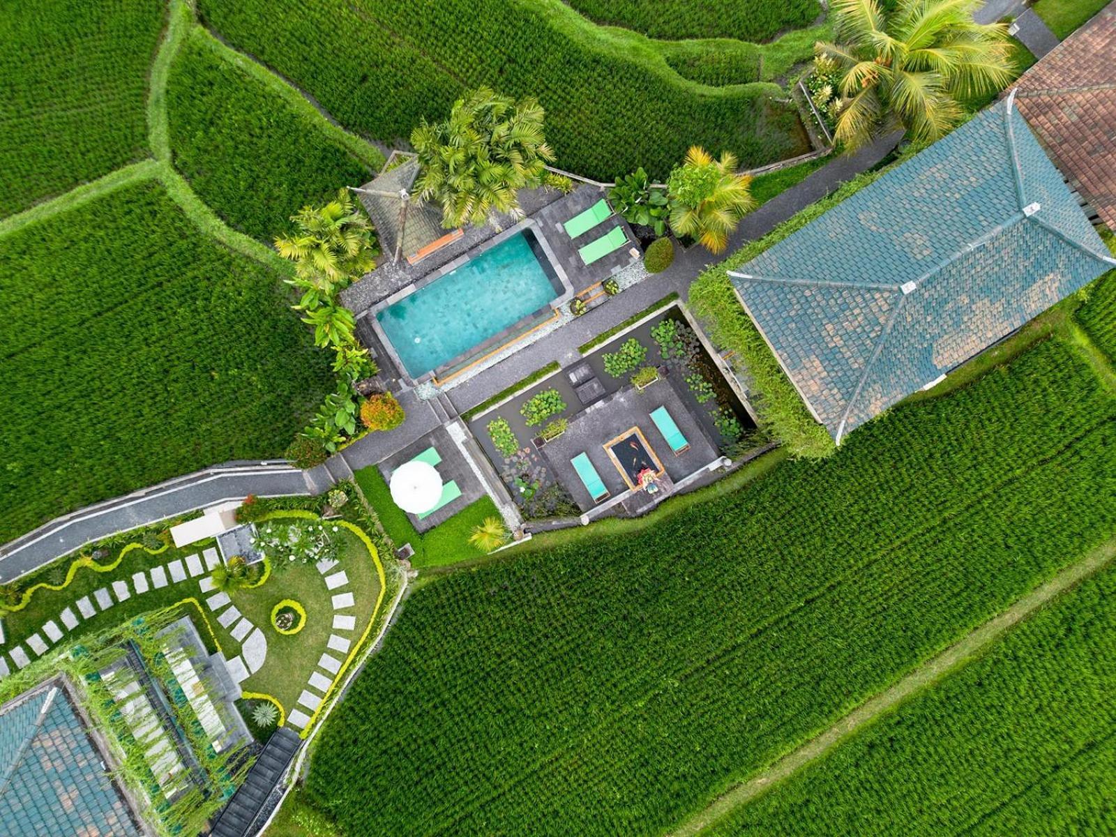 Cahaya Ubud Villa Extérieur photo