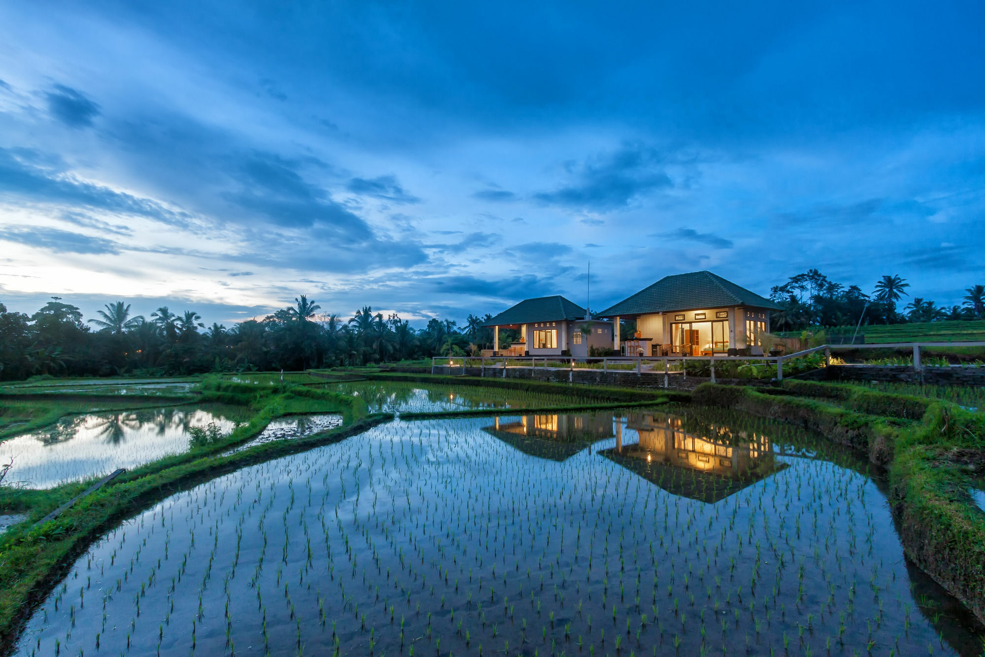 Cahaya Ubud Villa Extérieur photo